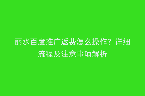 丽水百度推广返费怎么操作?详细流程及注意事项解析