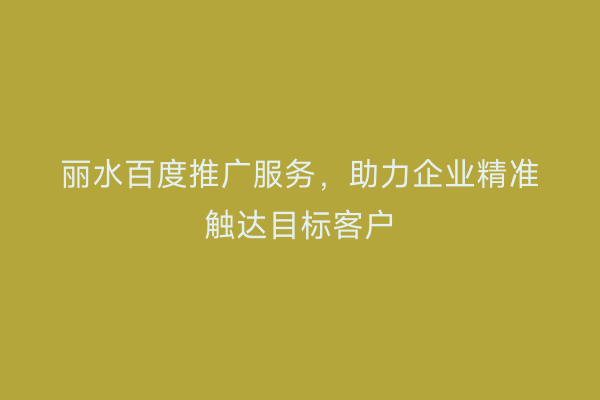 丽水百度推广服务,助力企业精准触达目标客户