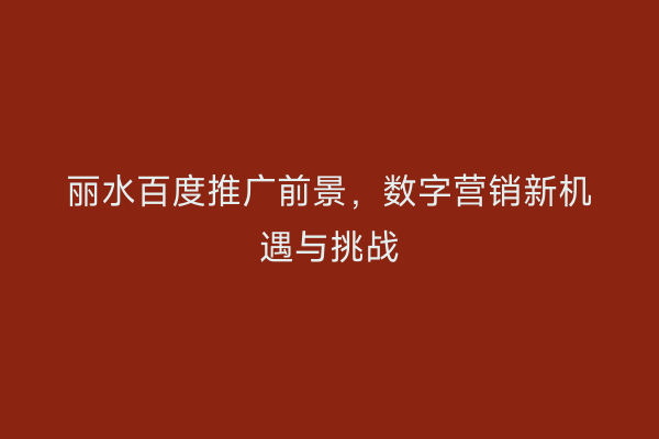 丽水百度推广前景，数字营销新机遇与挑战