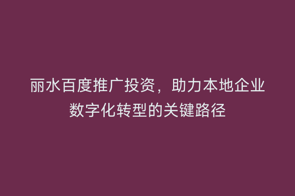 丽水百度推广投资,助力本地企业数字化转型的关键路径