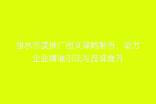 丽水百度推广图文策略解析,助力企业精准引流与品牌提升