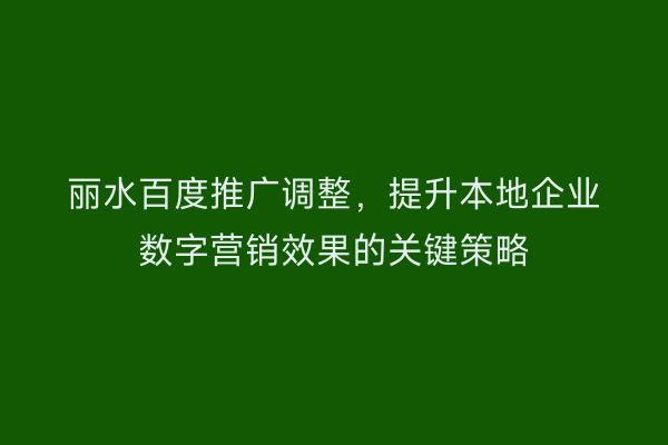丽水百度推广调整,提升本地企业数字营销效果的关键策略
