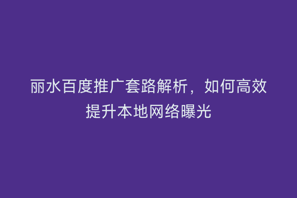 丽水百度推广套路解析,如何高效提升本地网络曝光