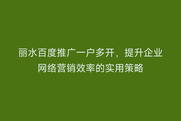 丽水百度推广一户多开,提升企业网络营销效率的实用策略