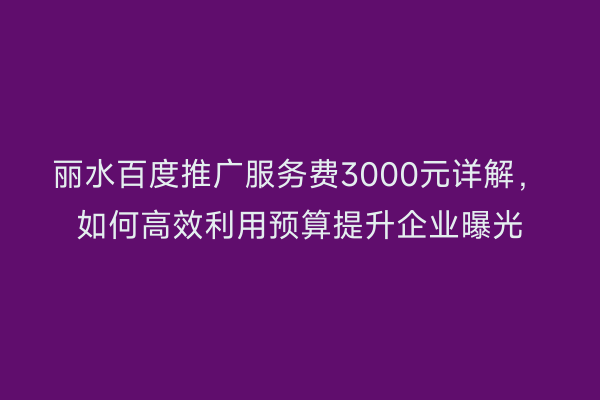 丽水百度推广服务费3000元详解,如何高效利用预算提升企业曝光