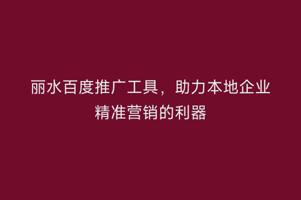 丽水百度推广工具,助力本地企业精准营销的利器