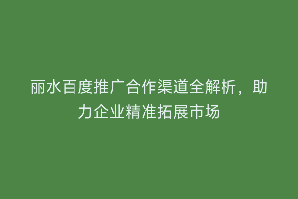 丽水百度推广合作渠道全解析,助力企业精准拓展市场