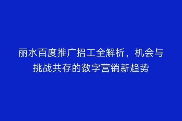 丽水百度推广招工全解析,机会与挑战共存的数字营销新趋势
