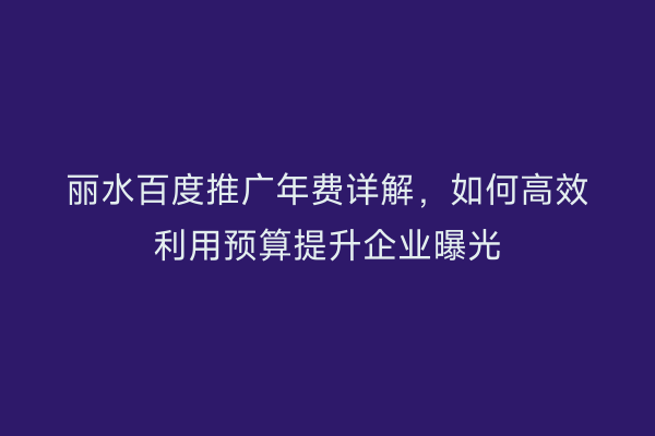 丽水百度推广年费详解，如何高效利用预算提升企业曝光