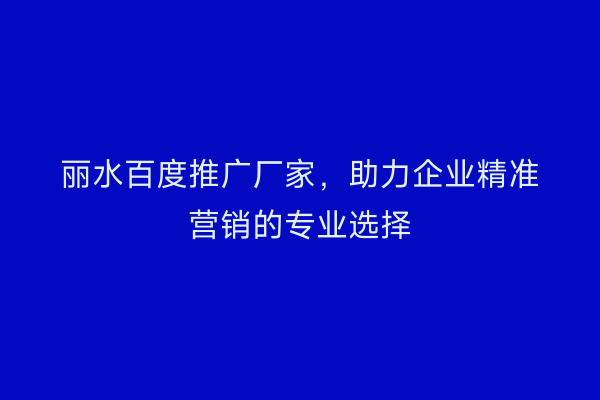 丽水百度推广厂家,助力企业精准营销的专业选择