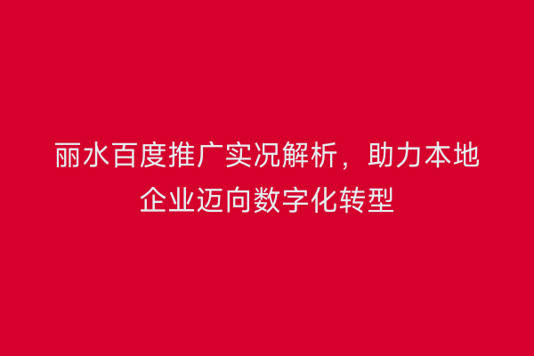 丽水百度推广实况解析,助力本地企业迈向数字化转型