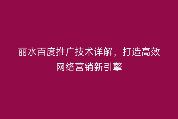 丽水百度推广技术详解,打造高效网络营销新引擎
