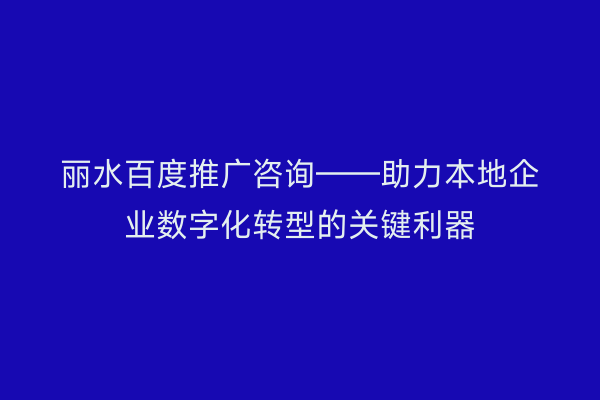 丽水百度推广咨询——助力本地企业数字化转型的关键利器