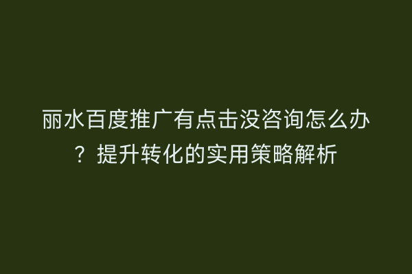 丽水百度推广有点击没咨询怎么办?提升转化的实用策略解析
