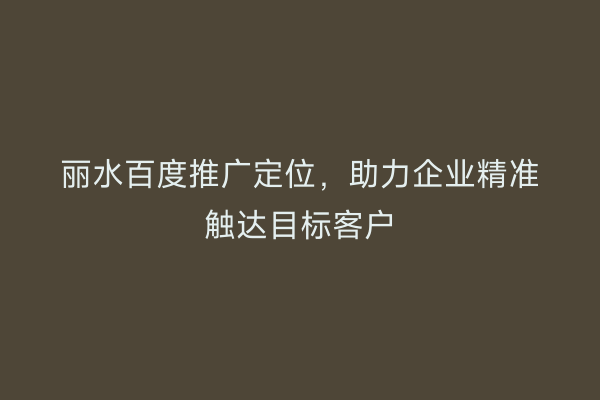 丽水百度推广定位,助力企业精准触达目标客户