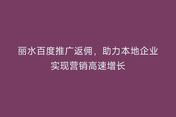 丽水百度推广返佣,助力本地企业实现营销高速增长