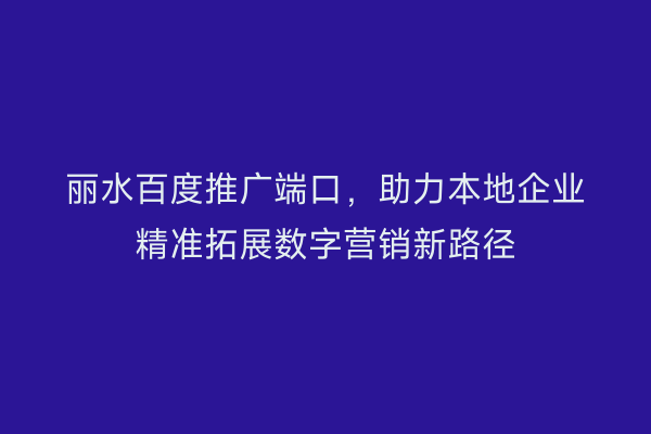 丽水百度推广端口,助力本地企业精准拓展数字营销新路径