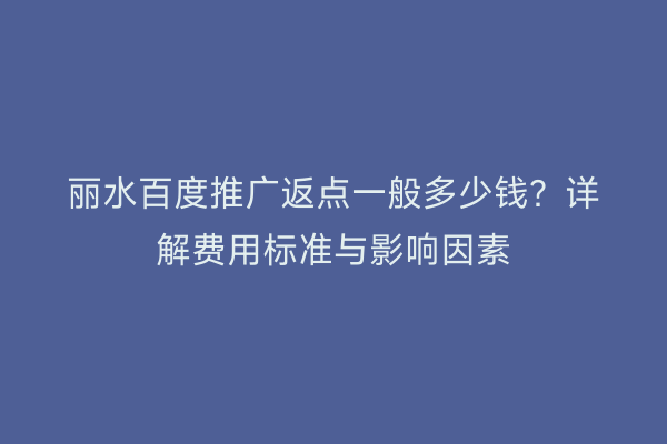 丽水百度推广返点一般多少钱?详解费用标准与影响因素