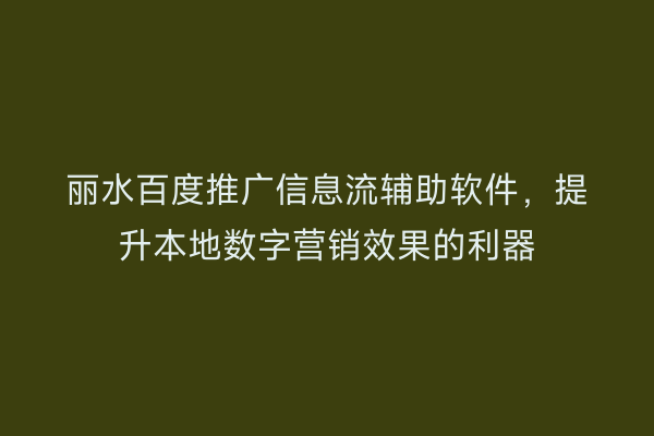 丽水百度推广信息流辅助软件,提升本地数字营销效果的利器
