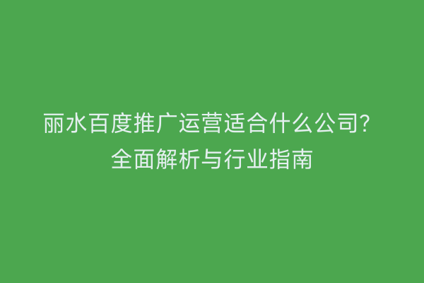 丽水百度推广运营适合什么公司？全面解析与行业指南