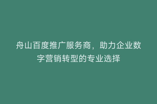 舟山百度推广服务商,助力企业数字营销转型的专业选择