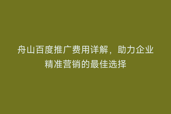 舟山百度推广费用详解,助力企业精准营销的最佳选择