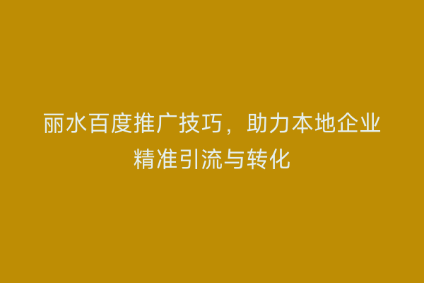 丽水百度推广技巧,助力本地企业精准引流与转化