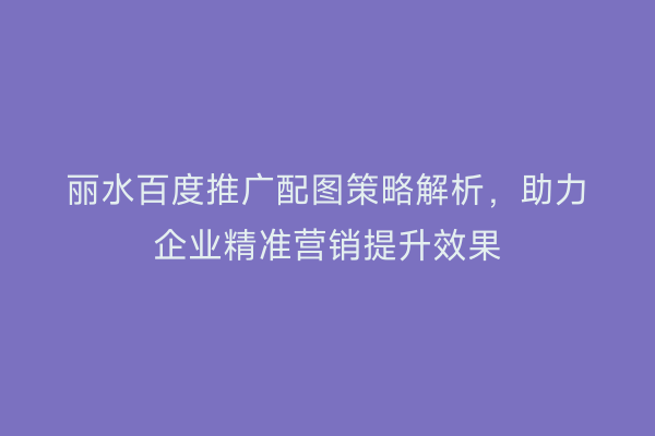 丽水百度推广配图策略解析,助力企业精准营销提升效果