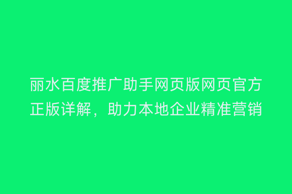 丽水百度推广助手网页版网页官方正版详解,助力本地企业精准营销