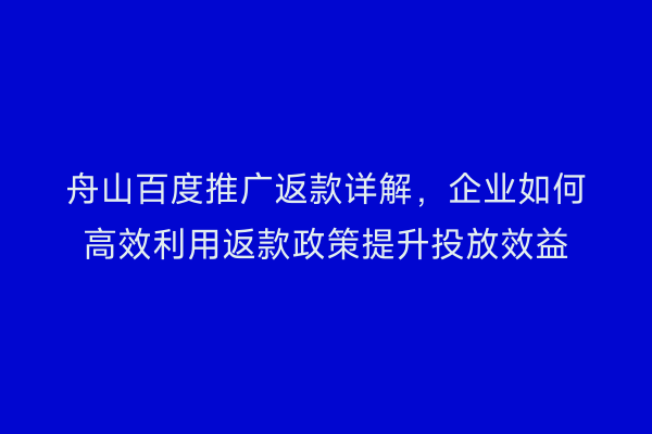 舟山百度推广返款详解,企业如何高效利用返款政策提升投放效益