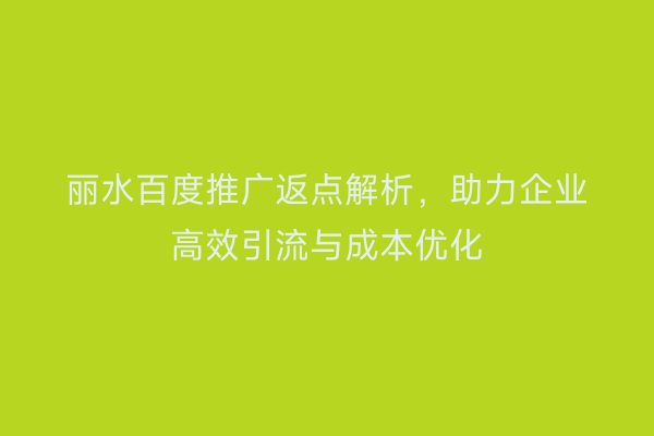 丽水百度推广返点解析,助力企业高效引流与成本优化