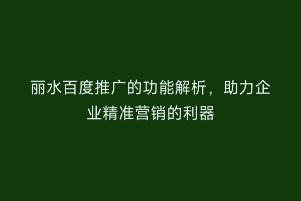 丽水百度推广的功能解析,助力企业精准营销的利器