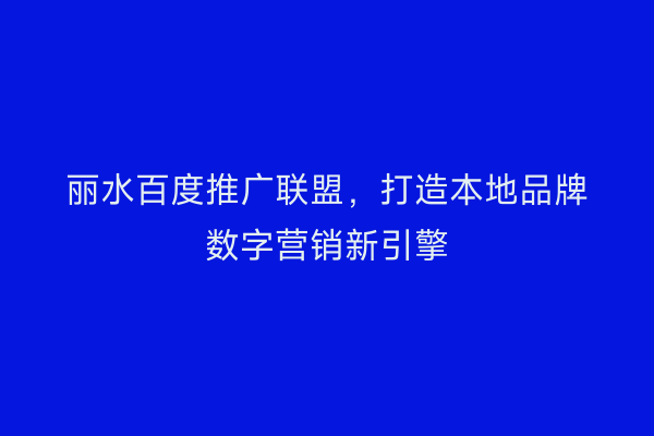 丽水百度推广联盟,打造本地品牌数字营销新引擎