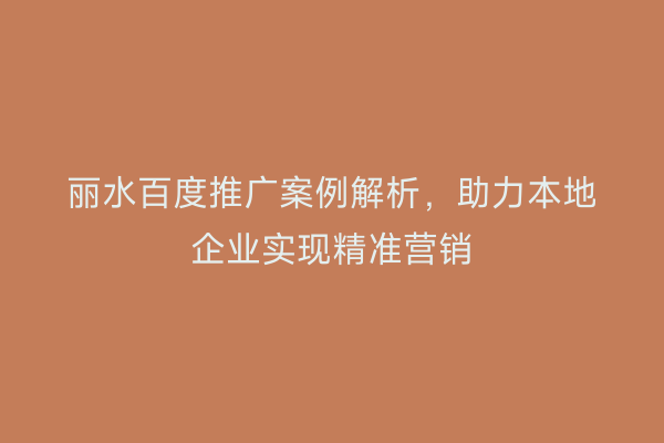 丽水百度推广案例解析,助力本地企业实现精准营销