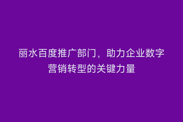 丽水百度推广部门,助力企业数字营销转型的关键力量