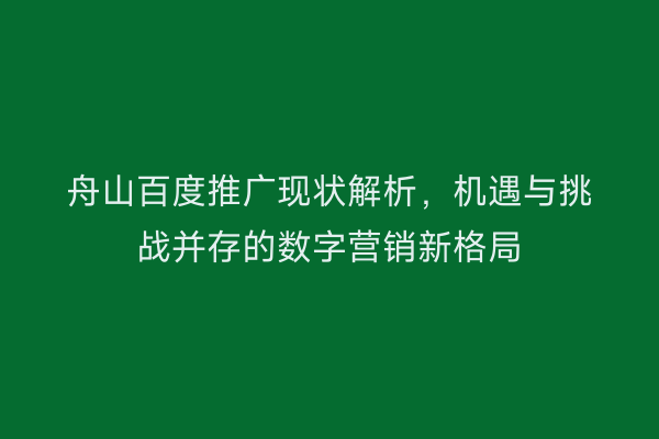 舟山百度推广现状解析,机遇与挑战并存的数字营销新格局