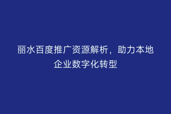 丽水百度推广资源解析,助力本地企业数字化转型