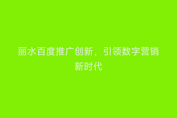 丽水百度推广创新,引领数字营销新时代