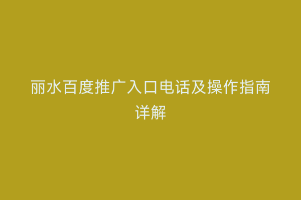 丽水百度推广入口电话及操作指南详解