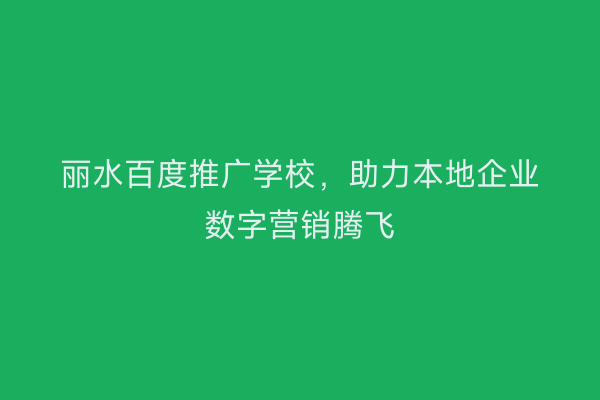 丽水百度推广学校,助力本地企业数字营销腾飞