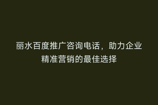 丽水百度推广咨询电话,助力企业精准营销的最佳选择