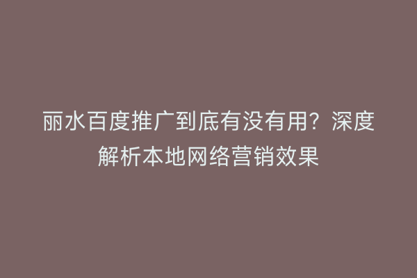 丽水百度推广到底有没有用?深度解析本地网络营销效果
