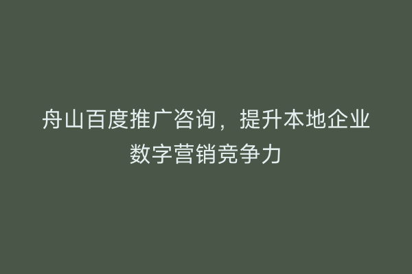舟山百度推广咨询,提升本地企业数字营销竞争力