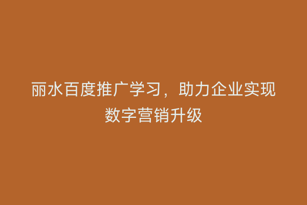 丽水百度推广学习,助力企业实现数字营销升级