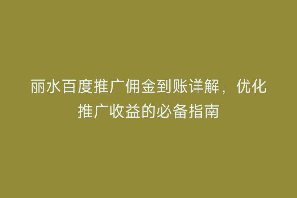 丽水百度推广佣金到账详解,优化推广收益的必备指南
