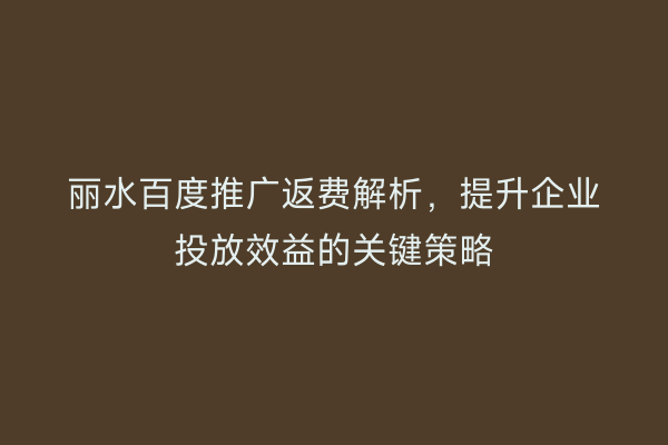 丽水百度推广返费解析,提升企业投放效益的关键策略