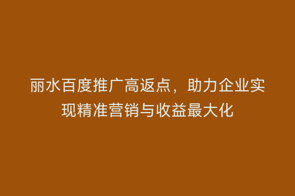 丽水百度推广高返点,助力企业实现精准营销与收益最大化