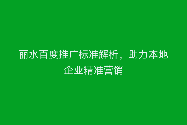 丽水百度推广标准解析,助力本地企业精准营销