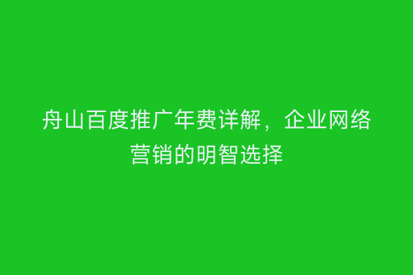 舟山百度推广年费详解，企业网络营销的明智选择