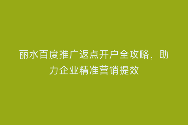 丽水百度推广返点开户全攻略,助力企业精准营销提效